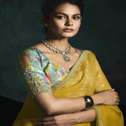 Fancy Based Fabric, Crushed Tissue, Hand Embroidered