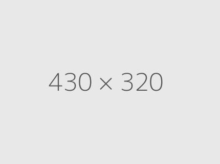 The standard Lorem Ipsum passage used since the 1500s