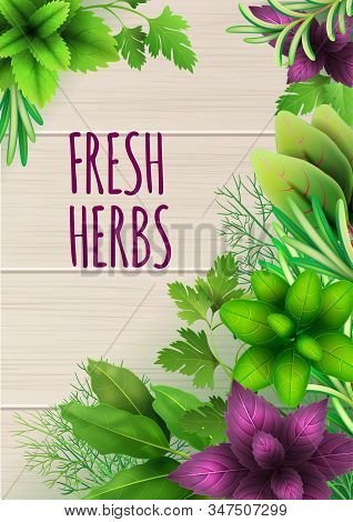 Herbovera promo